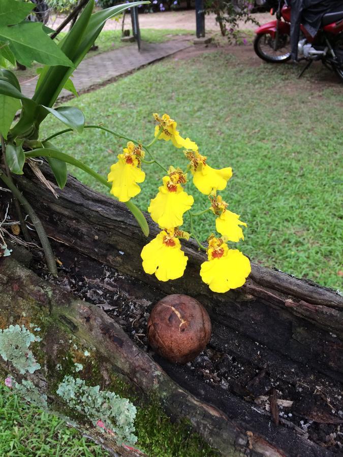 Villa Casa Colonial Terrea No Saco Da Capela Em Ilhabela Exterior foto